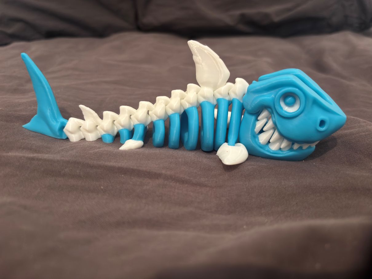 skeleton shark